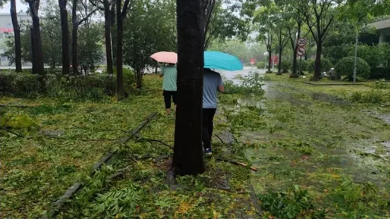 锐起－台风之际，快速响应，保障开学
